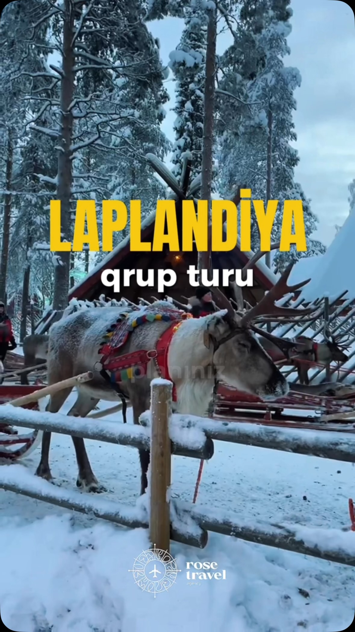 ❄️ Laplandiya qrup turuna son yerlər!